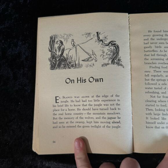 El Blanco - The Legend of the White Stallion by Rutherford Montgomery | 1972 - Picture 8 of 10